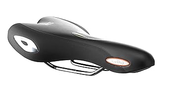 【中古】SELLE ROYALセラロイヤル LOOK IN アスレチック30°