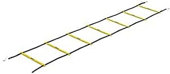 【中古】スキルズSKLZ クイックラダープロ 形づくる用掛けはしご 黄色 7段 日本置き目インポート品 1861