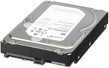 【中古】Seagate Constellation ES 3.5inch 2結核症 64MB 7200rpm SATA6.0Gbs ST2000NM0011