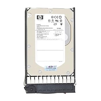 【中古】日本ヒューレットパッカード 3肺結核 7.2krpm 熱っぽい繋ぎ 3.5型 6G SAS 固定ディスク運転 625031-B21