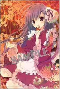 楽天市場】【未開封】プリパラ 描き下ろし等身大タペストリー 藤堂