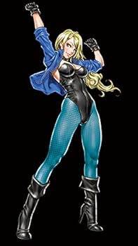 【中古】DC COMICS美少女 ブラックキャナリー 限定版