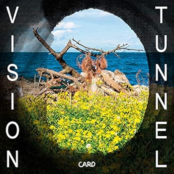 【中古】TUNNEL VISION FLAKES-223