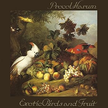 【中古】【39shop】Exotic★Birds.. -Deluxe- 12 inch Analog(良い)|ドリエム店