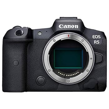【中古】Canon 銀鏡受け答え一眼写真機 EOS R5 上半身 EOSR5