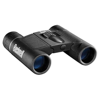 【中古】Bushnell Bus 8X21 BINO PWRVW BLK クラム