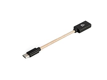 【中古】iFi audio OTGケーブル for USB Cオーディオ用安定した接続クリアなサウンド国内正規品