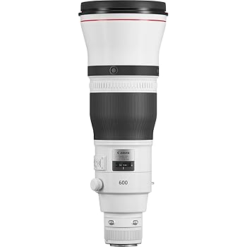 【中古】Canon 単焦点超望遠レンズ EF600mm F4L IS III USM フルサイズ対応 EF6004LIS3