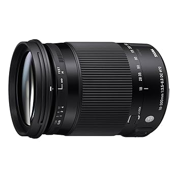 【中古】SIGMA 18-300粍 F3.5-6.3 DC MACRO os HSM | Contemporary C014 | Sigma SAマウント | APS-CSuper35