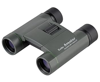 【中古】Kenko 双眼鏡 Avantar 10×25 DH WP 10倍 25口径 ダハプリズム式 2軸式 AVT-1025DW