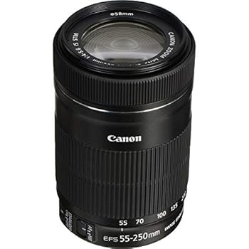 【中古】EF S 55 to 250mm f 4 5.6 IS