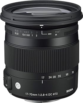 【中古】SIGMA 17-70粍 F2.8-4 DC MACRO HSM | Contemporary C013 | Sony Aマウント | APS-CSuper35