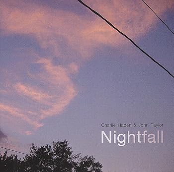 【中古】NIGHTFALL｜ドリエム店 14,953円