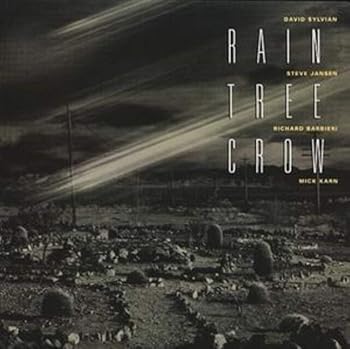 【中古】Rain Tree Crow