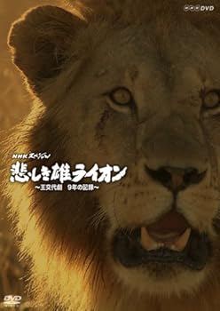 【中古】NHKスペシャル 悲しき雄ライオン~王交代劇 9年の記録~ [DVD]