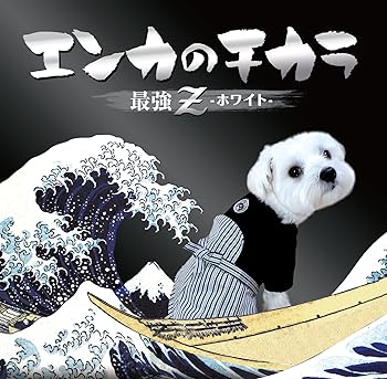 【中古】(良い)エンカのチカラ 最強Z ホワイト