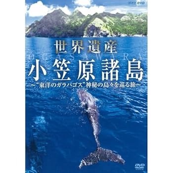 【中古】(良い)世界遺産 小笠原諸島 “東洋のガラパゴス” 神秘の島々を巡る旅【NHKスクエア限定商品】