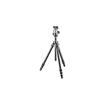 【中古】GITZO 三脚架 マウンテニア 2型 炭素 4段 どんぶり鉢雲台QD一揃いの道具 キーパー2542-82QD