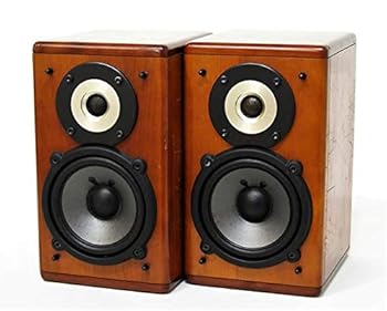 楽天市場】☆1月20日 24時間限定 ポイント10倍☆スピーカーシステム