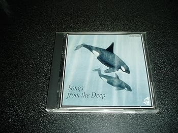 【中古】クジラ|ドリエム店