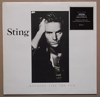 【中古】（良い）Nothing Like the Sun [Analog]