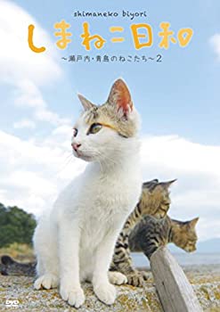 【中古】家族ゲーム HDニューマスター版 [DVD]｜ドリエム店