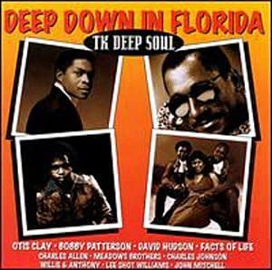 【中古】(非常に良い)Deep Down in Florida [CD]