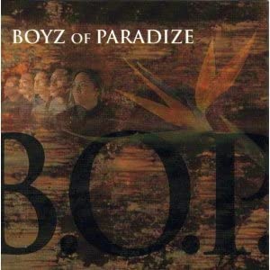 【中古】(非常に良い)Boyz of Paradize [CD]