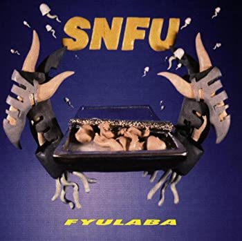 【中古】(非常に良い)Fyulaba [CD]｜ドリエム店