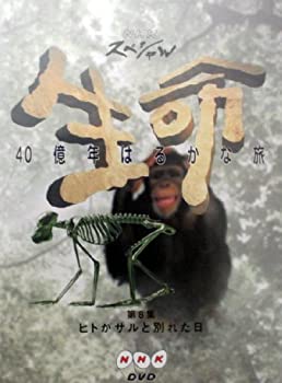 【中古】(非常に良い)NHKスペシャル 生命40億年はるかな旅 第8集:ヒトがサルと別れた日 [DVD]｜ドリエム店
