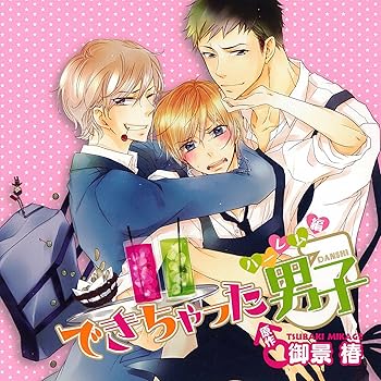 【中古】(非常に良い)ドラマCD できちゃった男子 ハーレム編 [CD] イメージ・アルバム