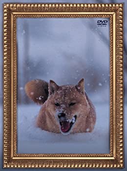 【中古】(非常に良い)レオナルド犬プリオ(初回生産限定盤) [DVD]