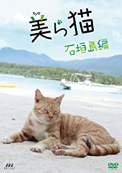 【中古】(非常に良い)美ら猫 石垣島編 [DVD]