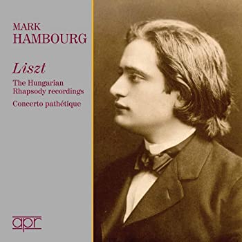 【中古】(非常に良い)Hungarian Rhapsodies [CD]