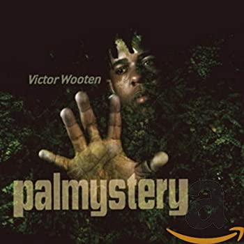 【中古】(非常に良い)Palmystery [CD]