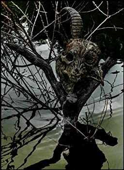 【中古】(非常に良い)the GazettE LIVE TOUR13-14[MAGNIFICENT MALFORMED BOX]FINAL CODA LIVE AT 01.11 YOKOHAMA ARENA(初回生産限定盤 [DVD]