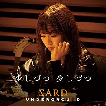 【中古】(非常に良い)少しづつ 少しづつ (初回限定盤) CD+DVD [CD] SARD UNDERGROUND