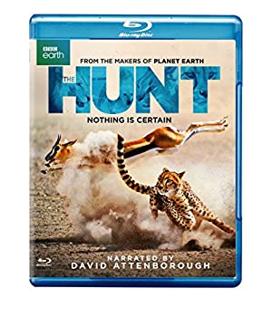 【中古】(未使用･未開封品)Hunt [Blu-ray]