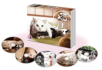 【中古】(未使用･未開封品)ドラマ「 猫侍 」DVD-BOX 北村一輝
