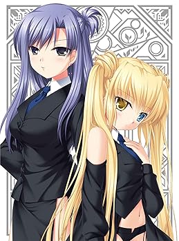 【中古】(未使用･未開封品)Rewrite 10(完全生産限定版) [DVD] 森田成一｜ドリエム店