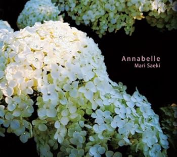 【中古】Annabelle [CD] 佐伯真梨