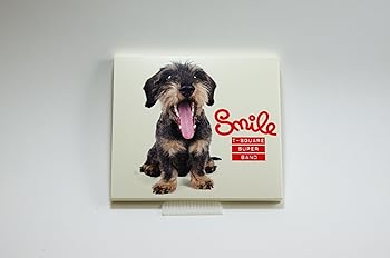 【中古】Smile - T-SQUARE SUPER BAND (DVD付) [CD] T-SQUARE SUPER BAND