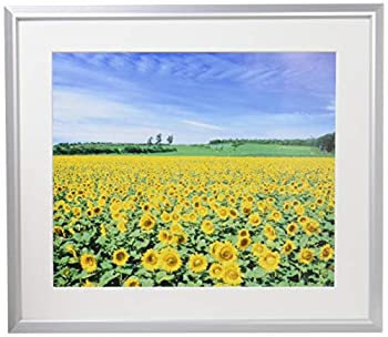 【中古】ナカバヤシ アルミ製軽量写真額 四ツ切判 シルバー フ-SA-225-S
