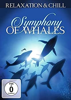 【中古】【非常に良い】Symphony of Whales [DVD]｜ドリエム店