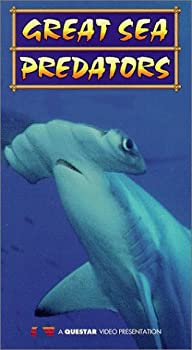 【中古】Life in Sea [VHS] 28,454円