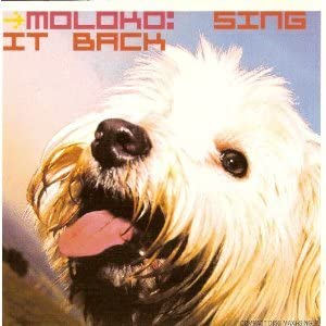 【中古】【非常に良い】Sing It Back [CD]｜ドリエム店 12,172円