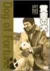 【中古】黄金の犬 [DVD]｜ドリエム店
