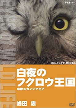 【中古】白夜のフクロウ王国 北欧スカンジナビア/嶋田忠 [DVD]