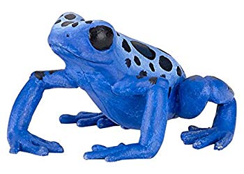 【中古】【非常に良い】Papo(パポ) ヤドクガエル(青) PVC PA50175 qqffhab