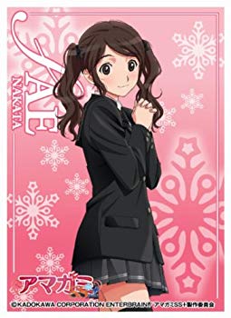 【中古】きゃらスリーブコレクション アマガミSS+ plus 中多紗江 (No.245) rdzdsi3画像